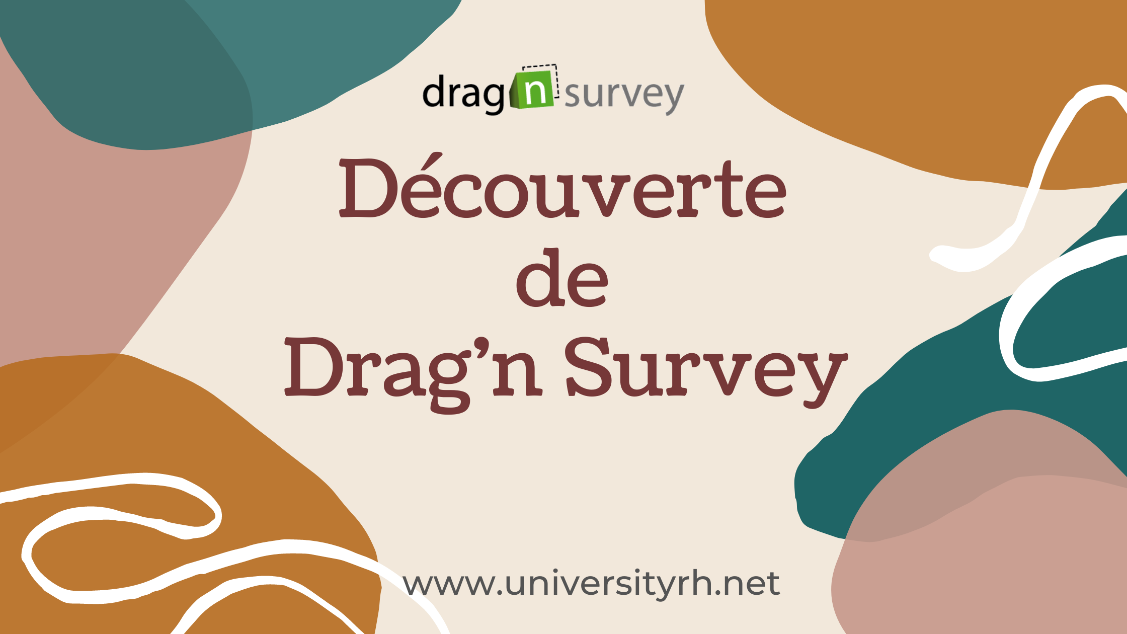 Découverte de Drag'n Survey